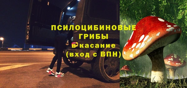 героин Алексин