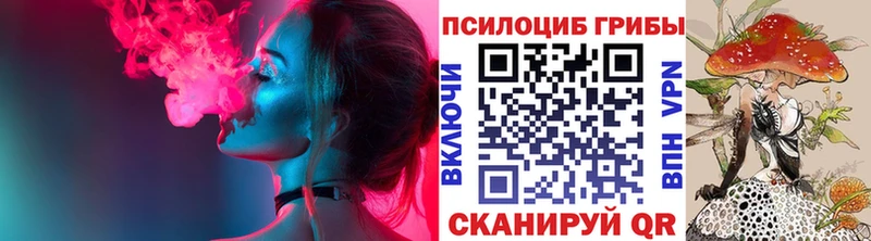Псилоцибиновые грибы Psilocybine cubensis  где купить   Нолинск 